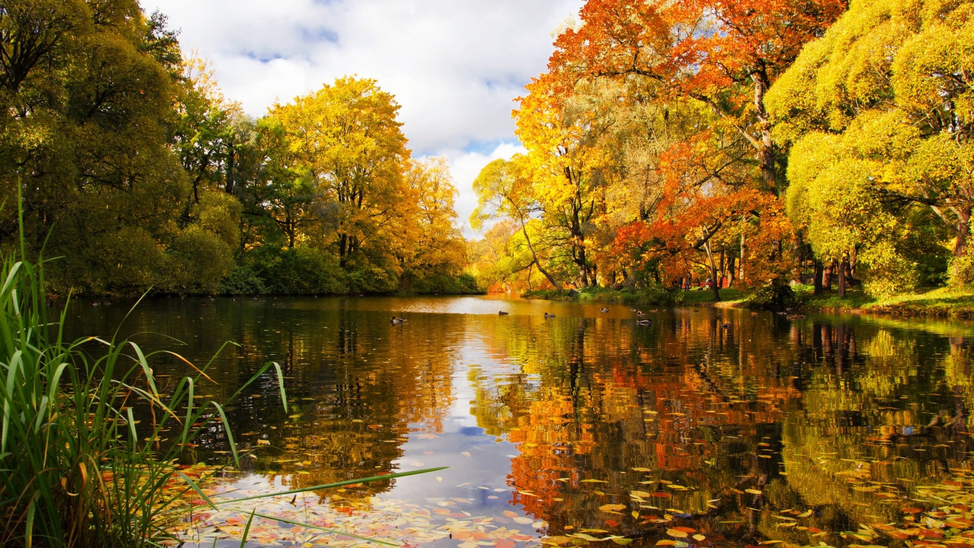 st, Petersburg, Park, River, Pond, Autumn, Landscape Wallpaper
