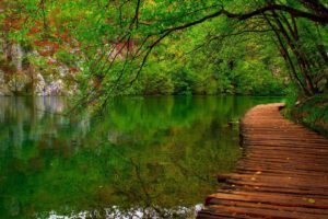 nature, River, Forest, Park, Trees, Leaves, Green, Spring, Landscape