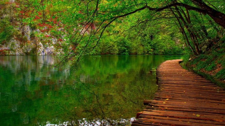 nature, River, Forest, Park, Trees, Leaves, Green, Spring, Landscape HD Wallpaper Desktop Background