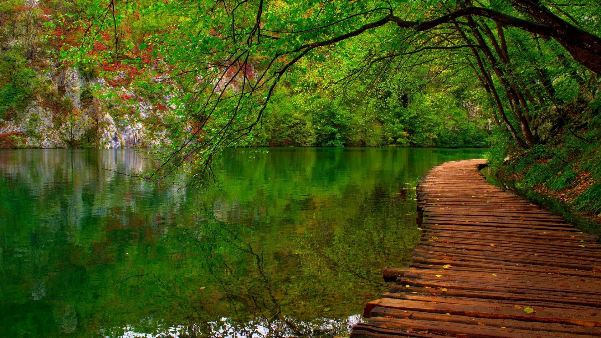 nature, River, Forest, Park, Trees, Leaves, Green, Spring, Landscape Wallpaper