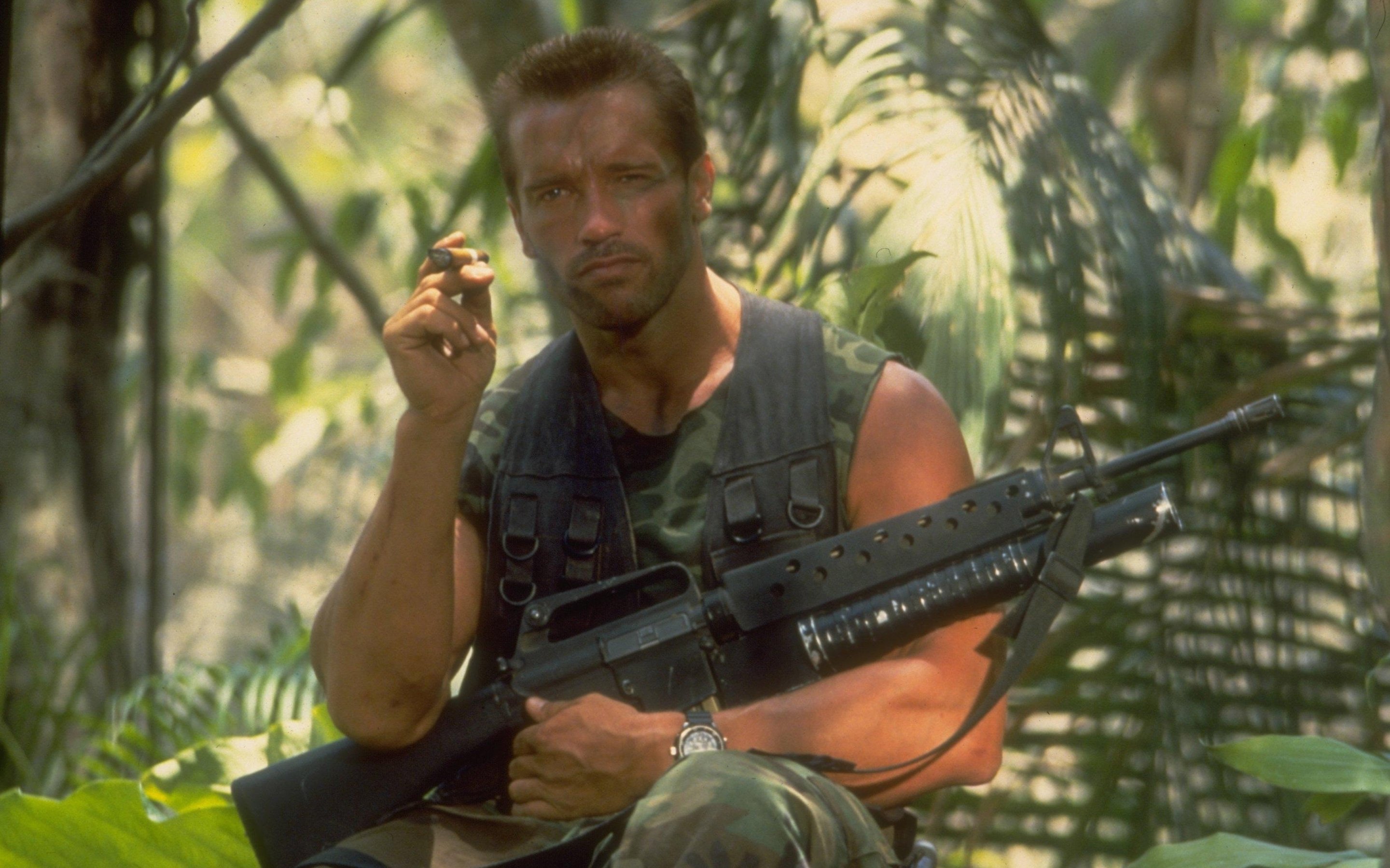 arnold schwarzenegger Wallpaper