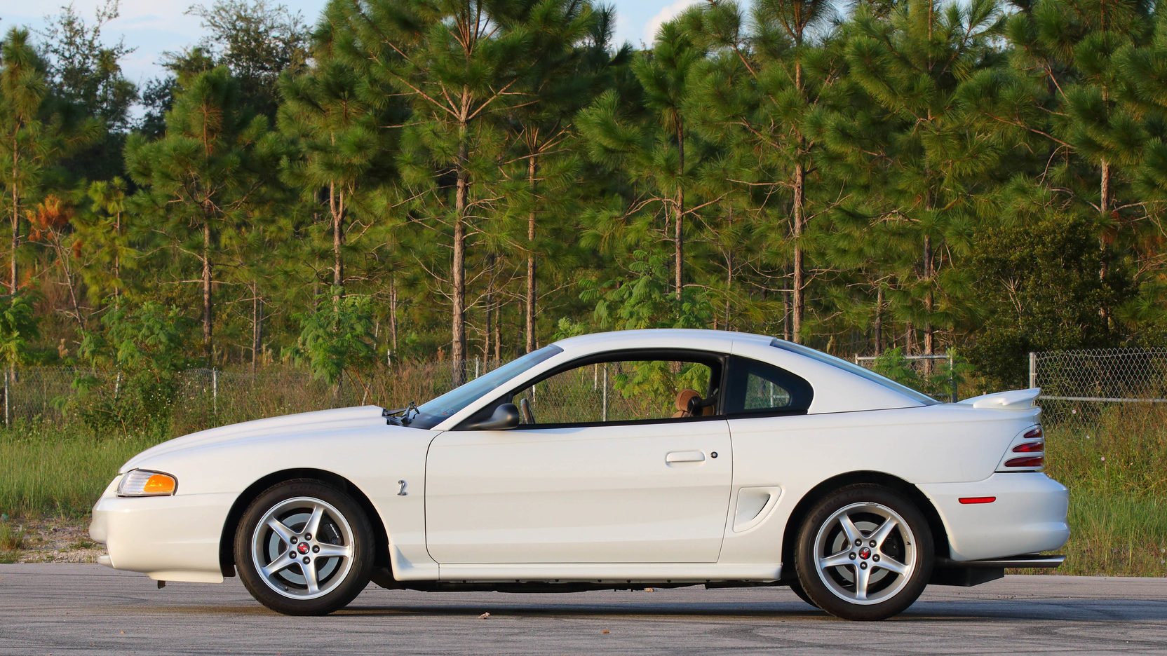 1995, Ford, Mustang, Svt, Cobra r, Cars, White Wallpaper