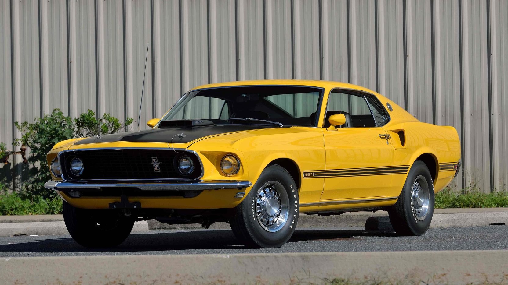 1969, Ford, Mustang, Mach 1, Fastback, Cars, Yellow Wallpaper