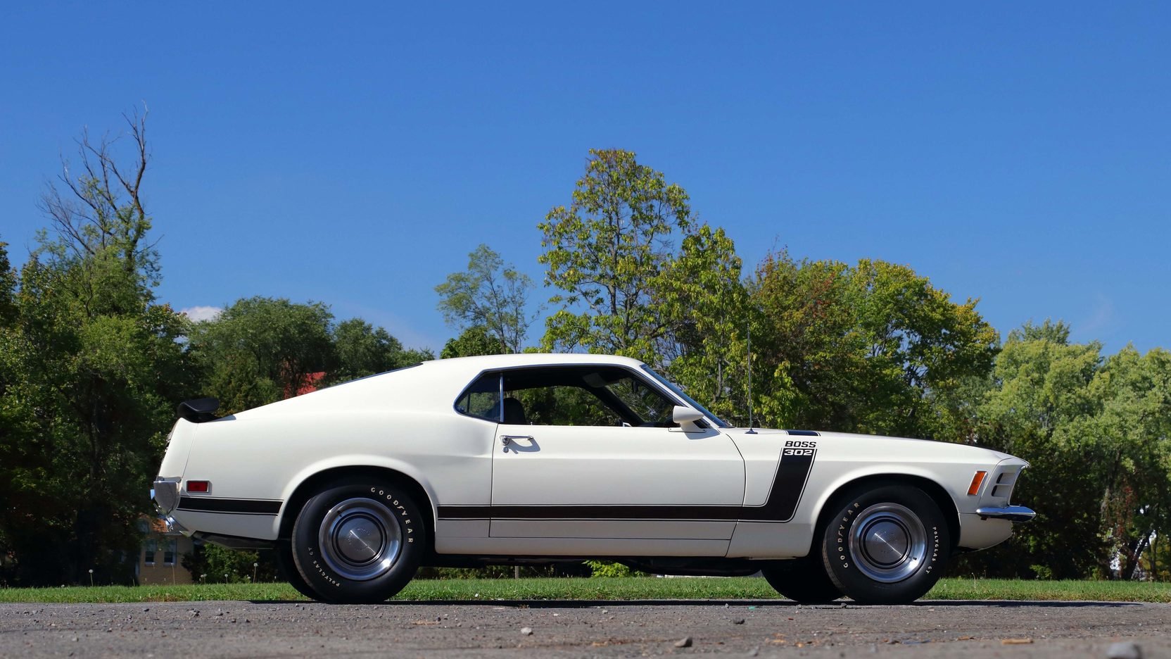 1970, Ford, Mustang, Boss, 3, 02fastback, Cars, White Wallpaper