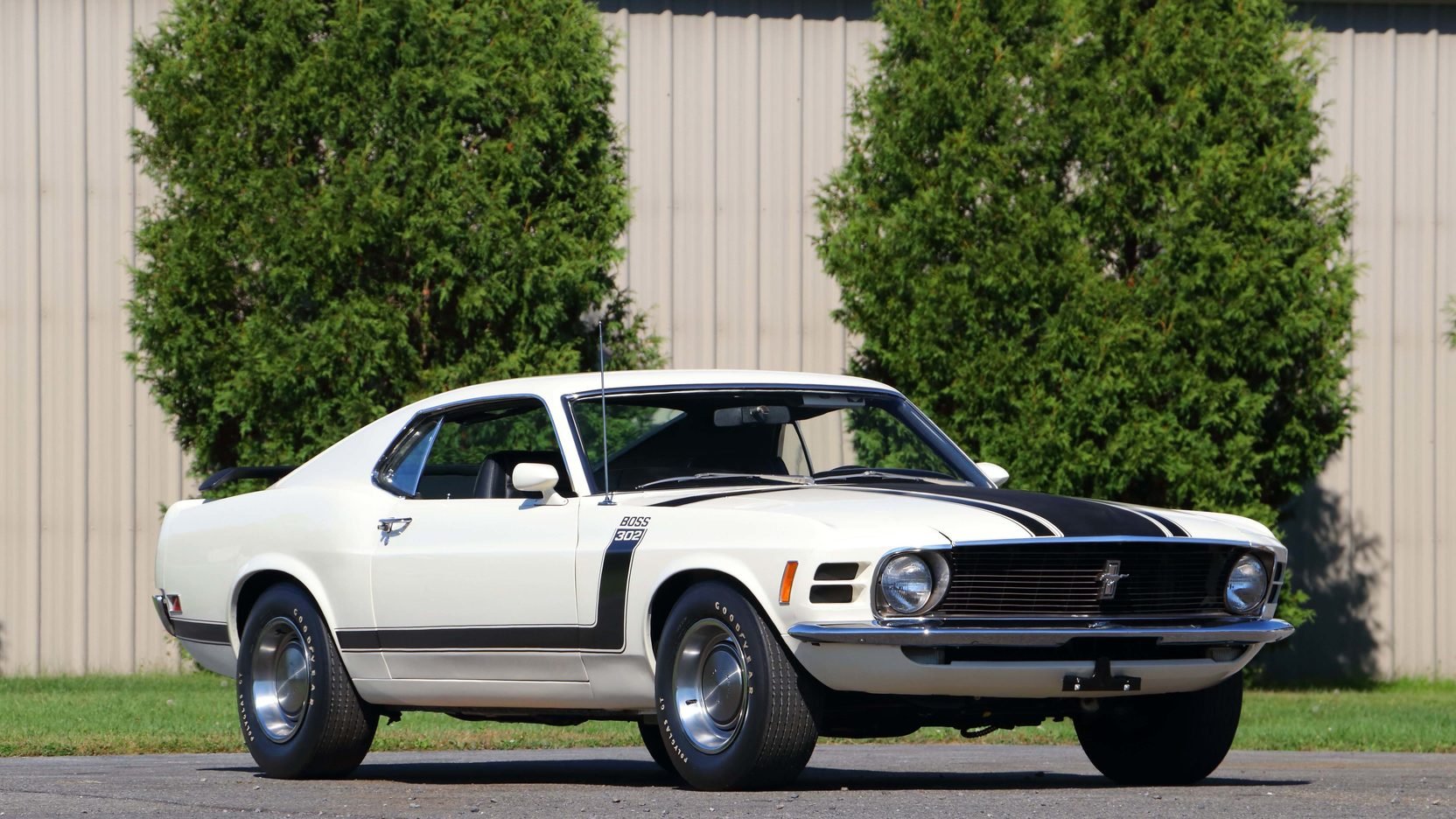 1970, Ford, Mustang, Boss, 3, 02fastback, Cars, White Wallpaper