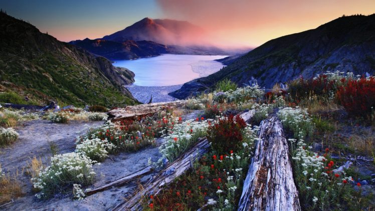 tranquil, Lake, Landscape, Nature, Beauty, Peacefull, Flowers HD Wallpaper Desktop Background