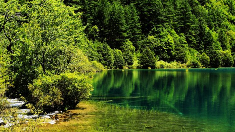 green, Natural, Landscape, Forest, Lake HD Wallpaper Desktop Background
