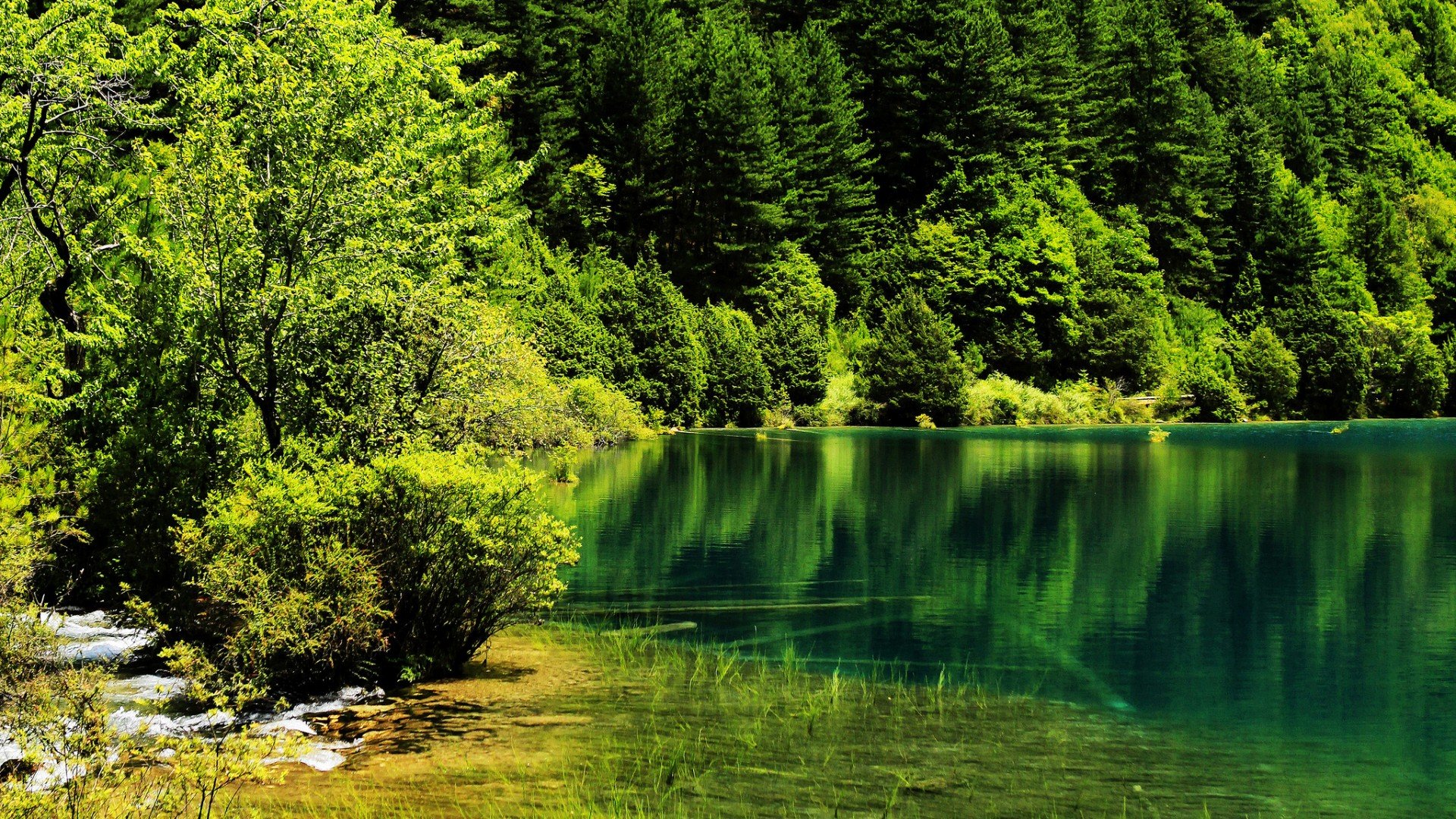 green, Natural, Landscape, Forest, Lake Wallpaper