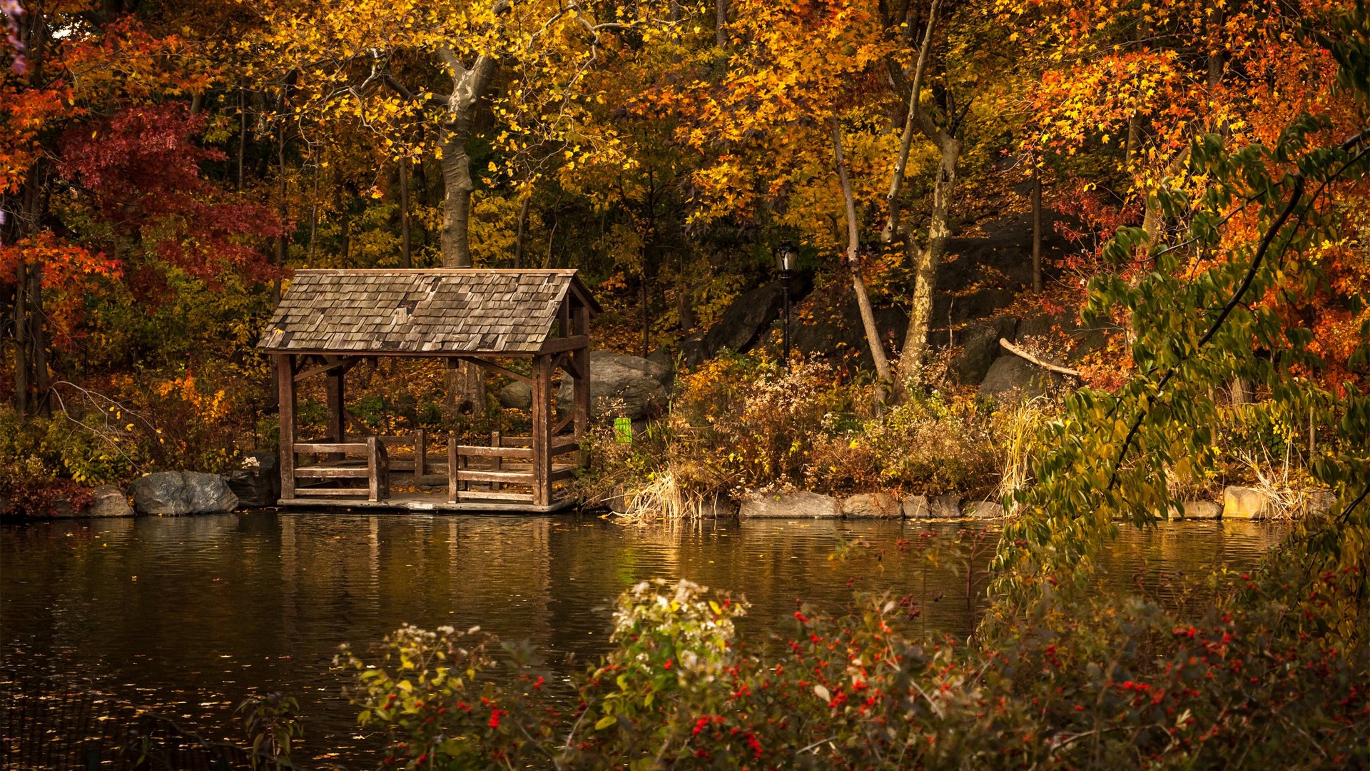 nature, Beauty, Landscape, Autumn, Tree, River Wallpaper