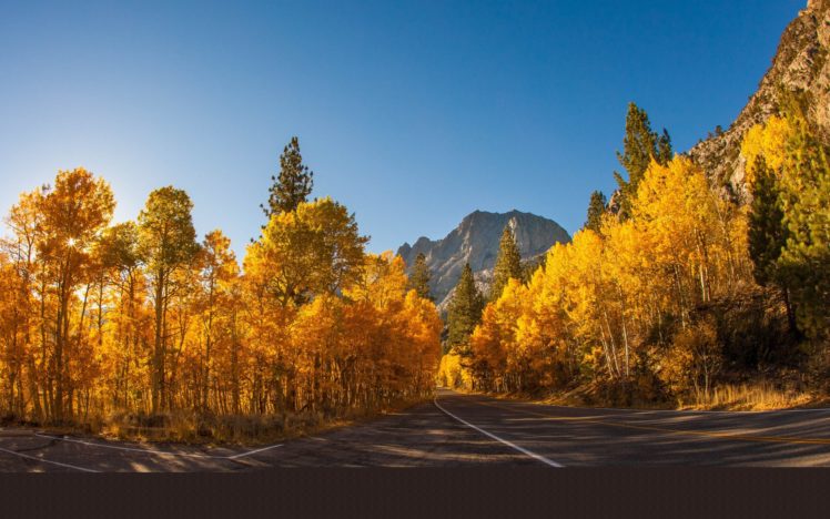 landscape, Natural, Beautiful, Mountain, Scenery, Autumn, Tree HD Wallpaper Desktop Background