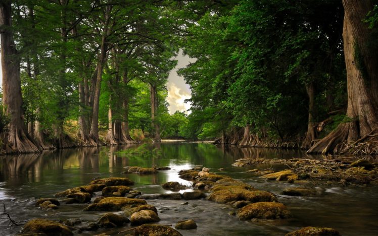 beautiful, Natural, River, Forest HD Wallpaper Desktop Background