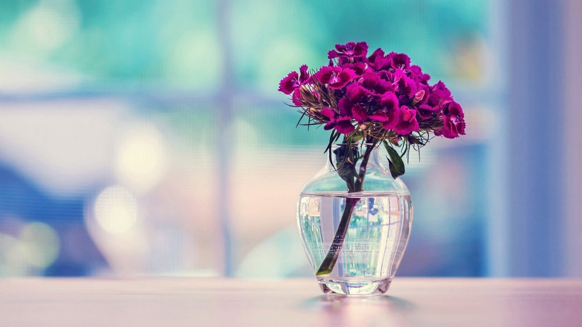 bottle, Of, Rose, Purple, Romantic, Love Wallpaper