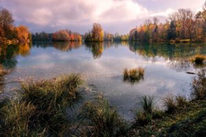 pond, Lakes, Fall, Trees, Landscape