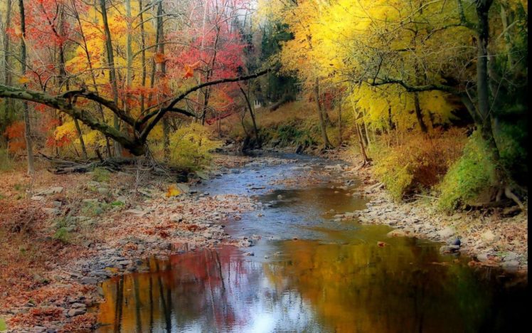 autumn, Trees, River, Stones HD Wallpaper Desktop Background