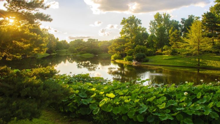 , Parks, Ponds, Green, Natural, Landscape HD Wallpaper Desktop Background