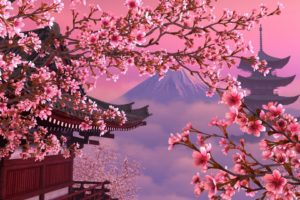 beautiful, Pink, Cherry, Tree, Mount, Fuji
