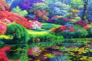 colorful, Trees, And, Lily, Pond