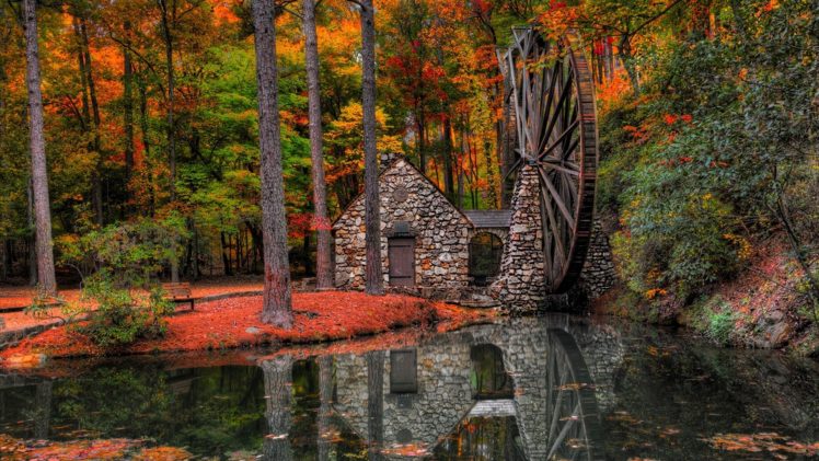 forest, Autumn, Fallen, Leaves, Water, Mill, Park, Landscape HD Wallpaper Desktop Background