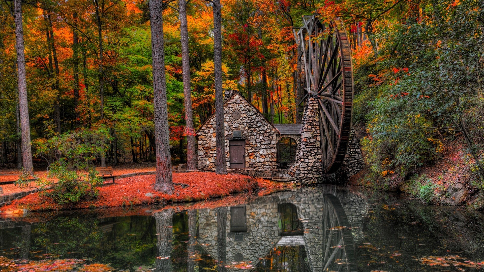 forest, Autumn, Fallen, Leaves, Water, Mill, Park, Landscape Wallpaper