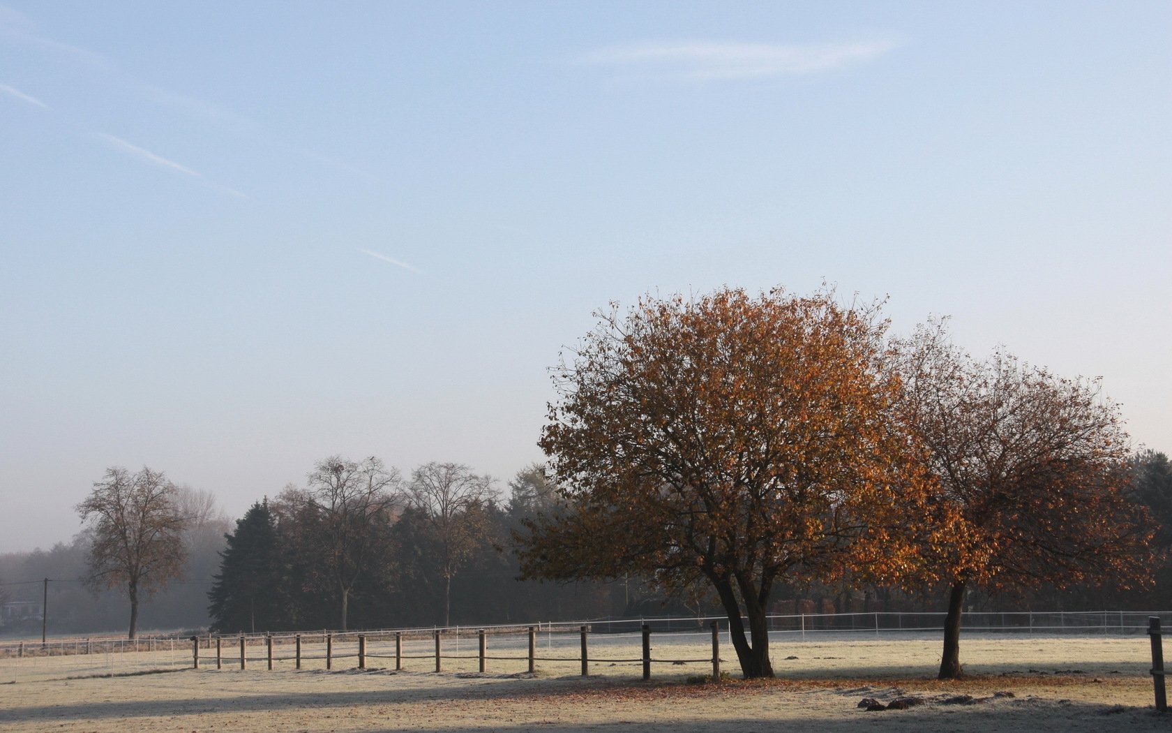 field, Fence, Trees, Frosts, Morning, Hoarfrost, Cool, Autumn, October Wallpaper