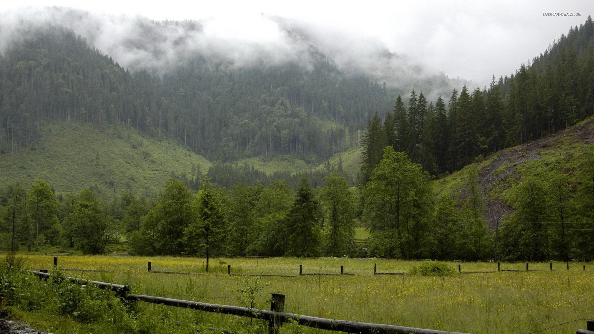 peaceful, Mountain, Valley, Fog, Tree, Forest, Grass, Fence, Natur