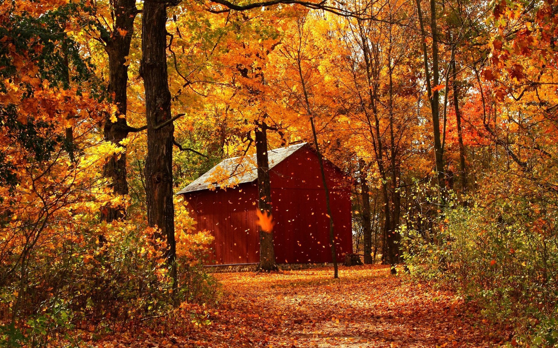 leaf, Fall, Autumn, Garage, Wood, Trees, October Wallpaper