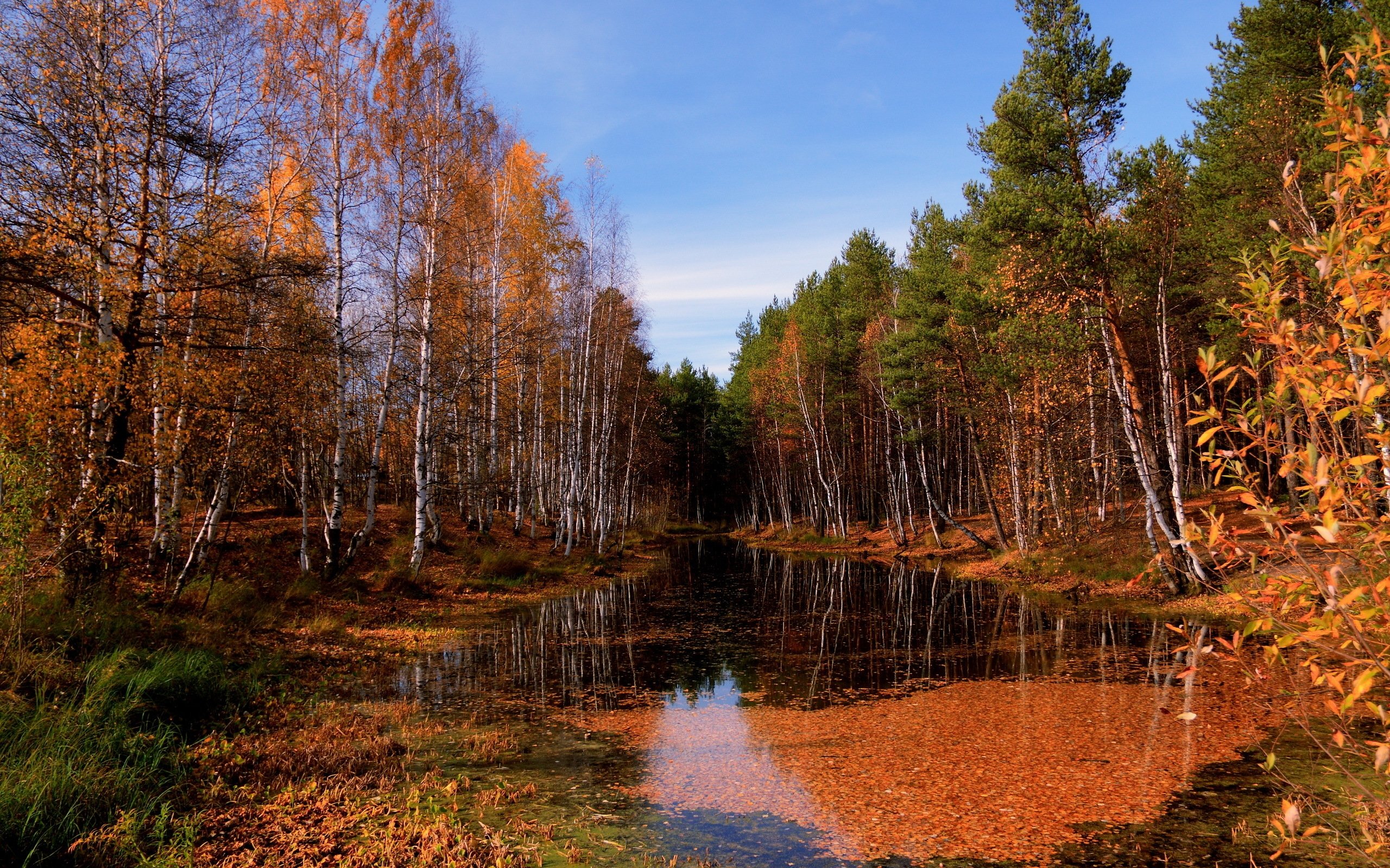 lake, Autumn, Trees, Leaf, Fall, Water, Surface, Sky, Clearly, October, Pool Wallpaper