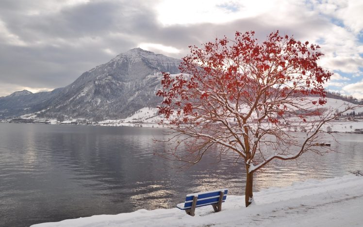 tree, Bench, Leaves, Autumn, October, Freezing, Mountain, Lake HD Wallpaper Desktop Background