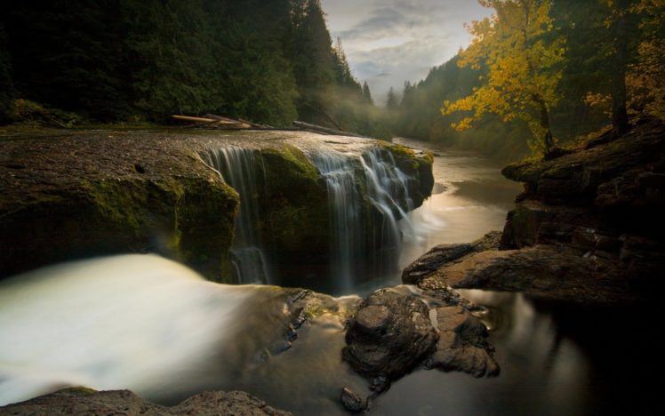 waterfall, Tree, Rock, Forest, Natur HD Wallpaper Desktop Background