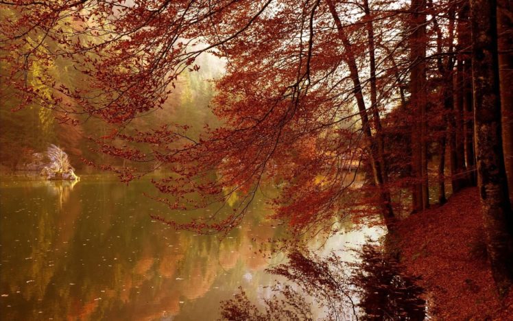 red, Autumn, Foliage, Autmn, Leaf, Tree, Forest, River, Natur HD Wallpaper Desktop Background