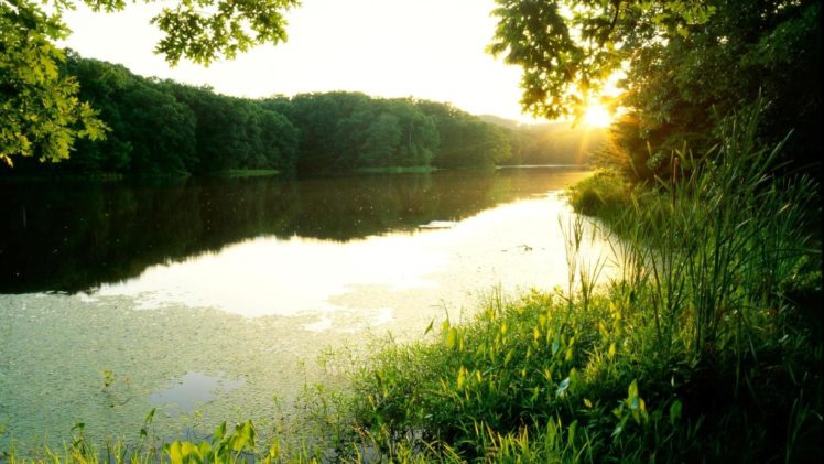 sunset, Forest, River HD Wallpaper Desktop Background