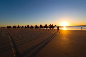 camel, Caravan, Sandy, Beach, Water, Sea, Ocean, Sky, Sunset, Beache