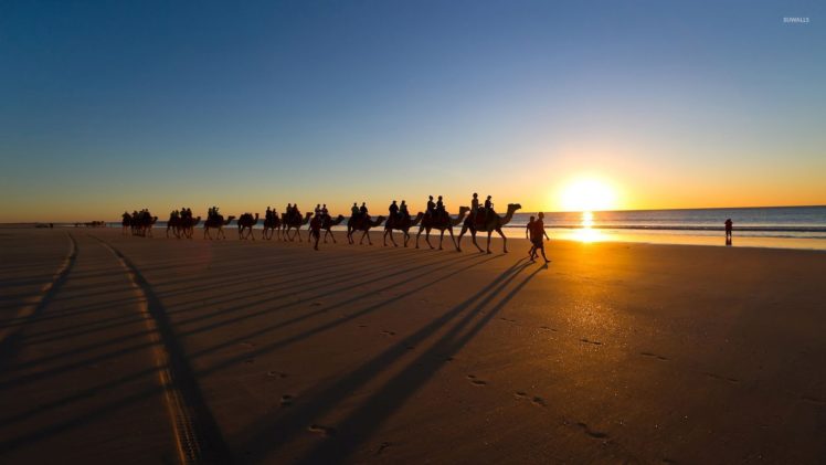 camel, Caravan, Sandy, Beach, Water, Sea, Ocean, Sky, Sunset, Beache HD Wallpaper Desktop Background