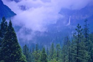 moutain, Forest, Scenery, Photograph