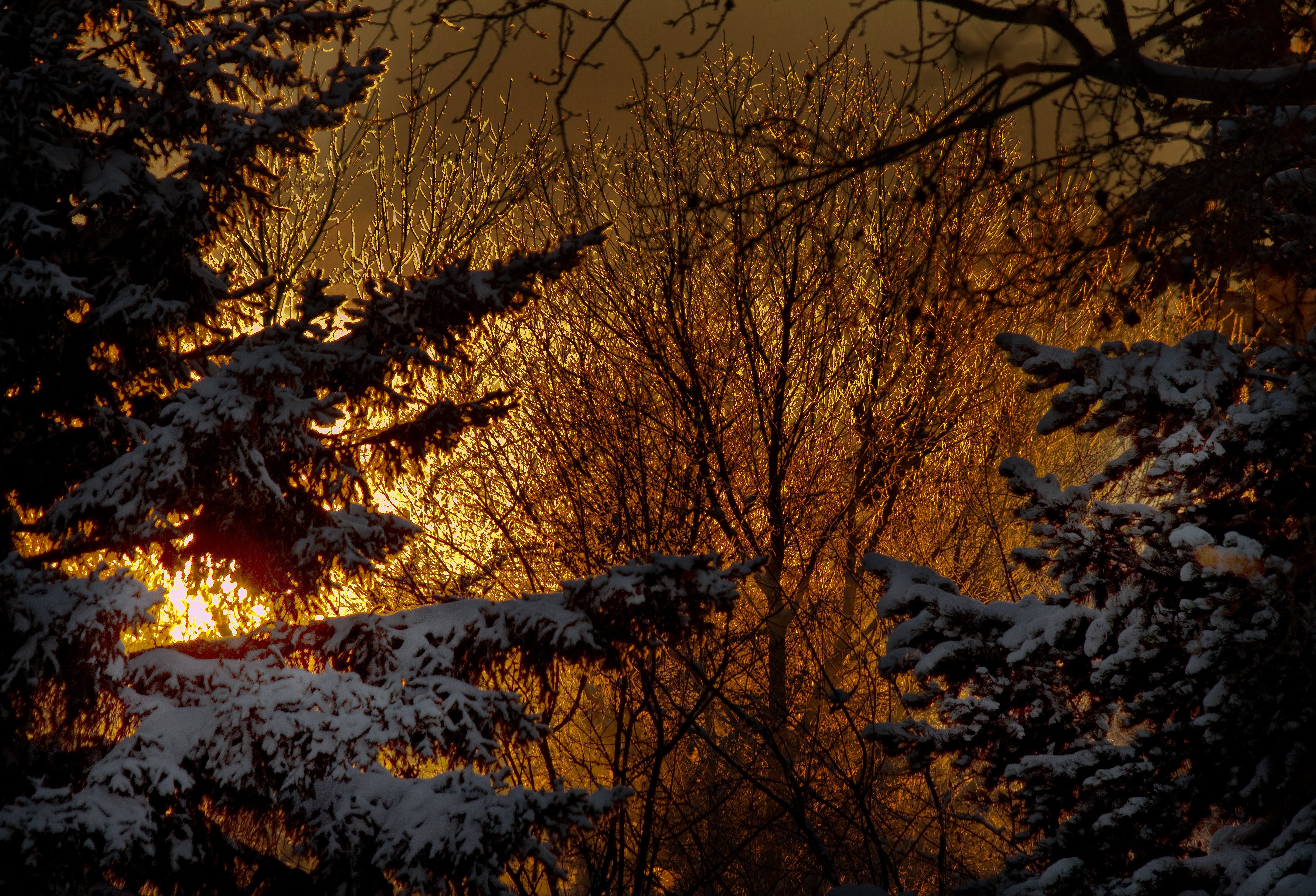 winter, Retina, Nature Wallpaper