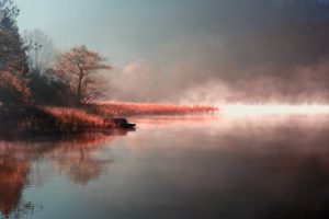 lake, Morning, Fog, In, The, Beautiful, Landscape