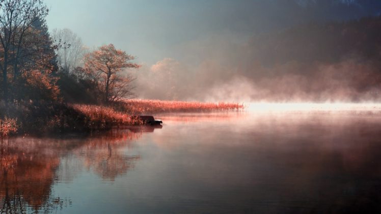 lake, Morning, Fog, In, The, Beautiful, Landscape HD Wallpaper Desktop Background