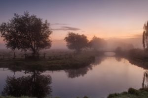 morning, Fog, In, The, Beautiful, Landscape, Bridge, Tree