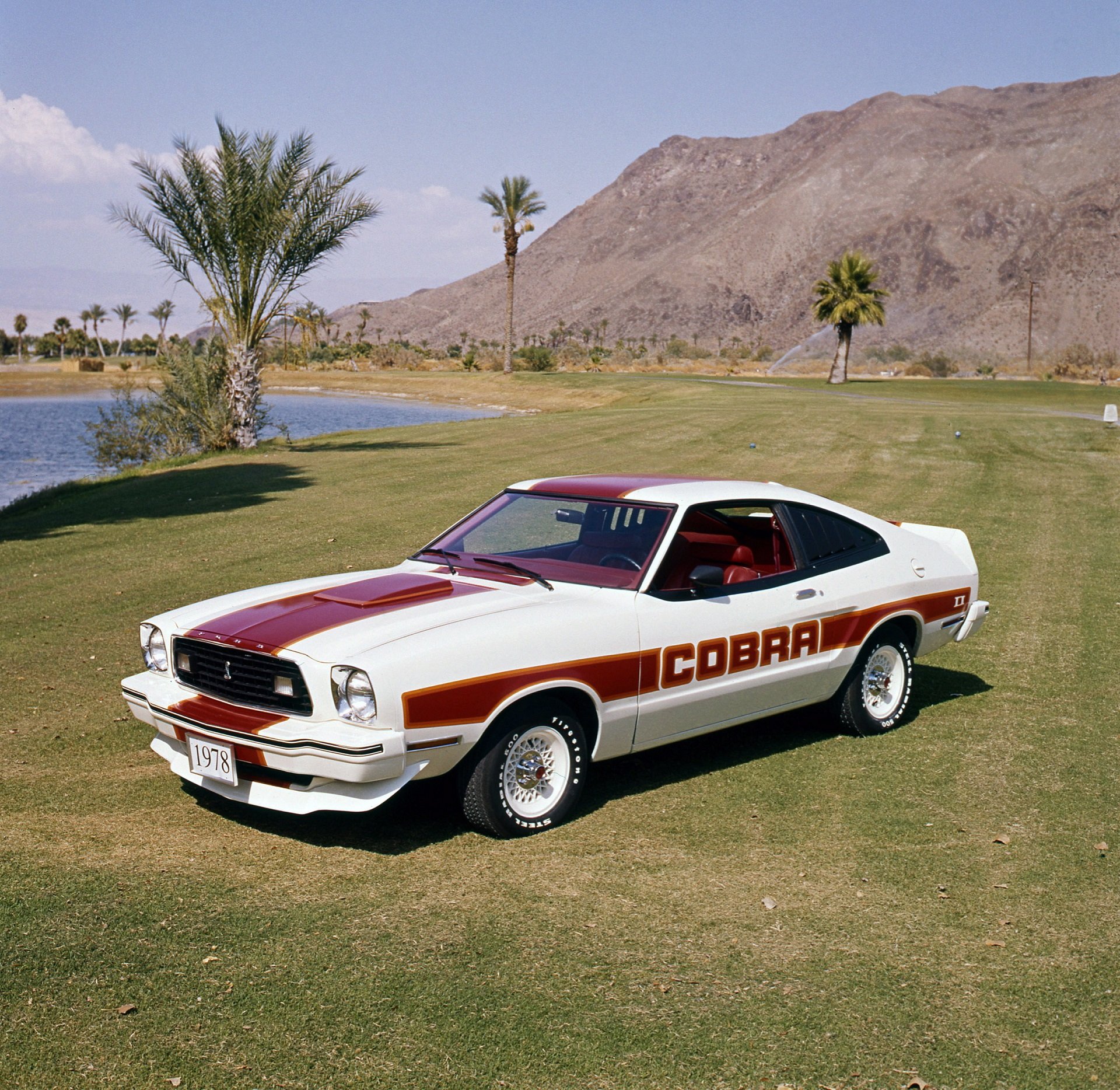 ford, Mustang, Mkii, Cobra ii, Cars, Coupe, 1978 Wallpaper