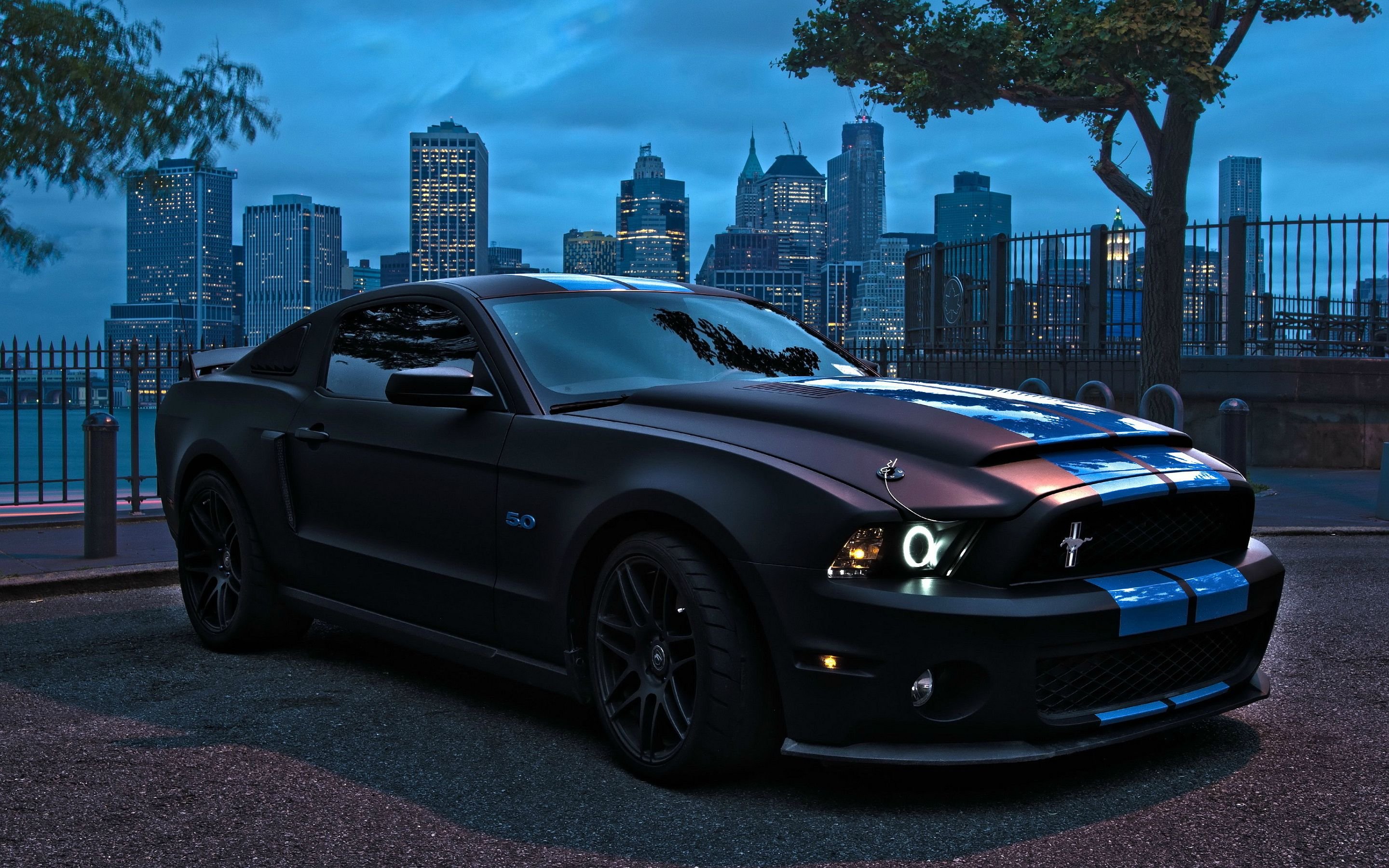 2016, Ford, Mustang, Shelby, Gt 500, Cars Wallpaper