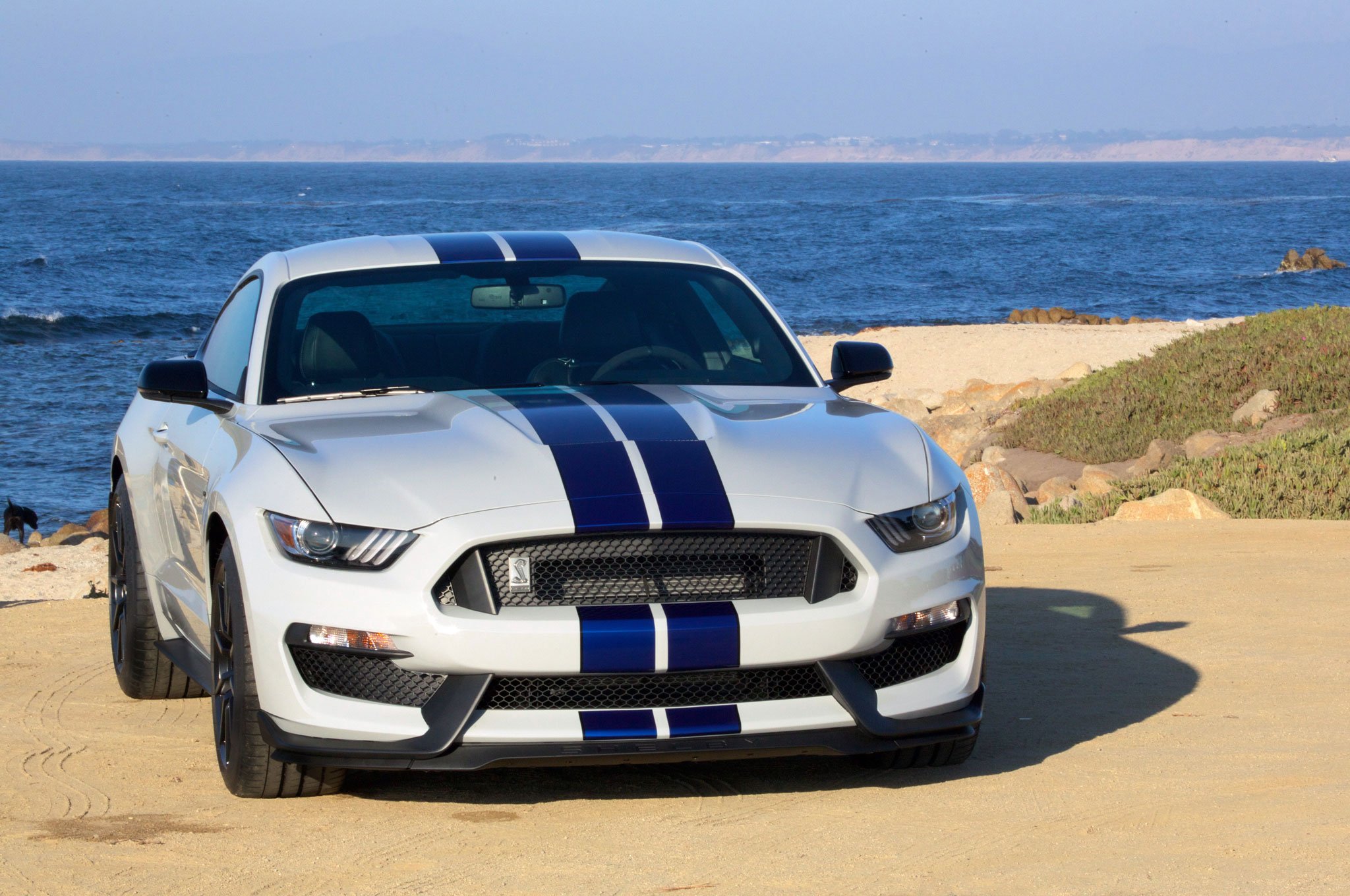 2016, Ford, Shelby, Gt350 r, Cars, Coupe Wallpaper