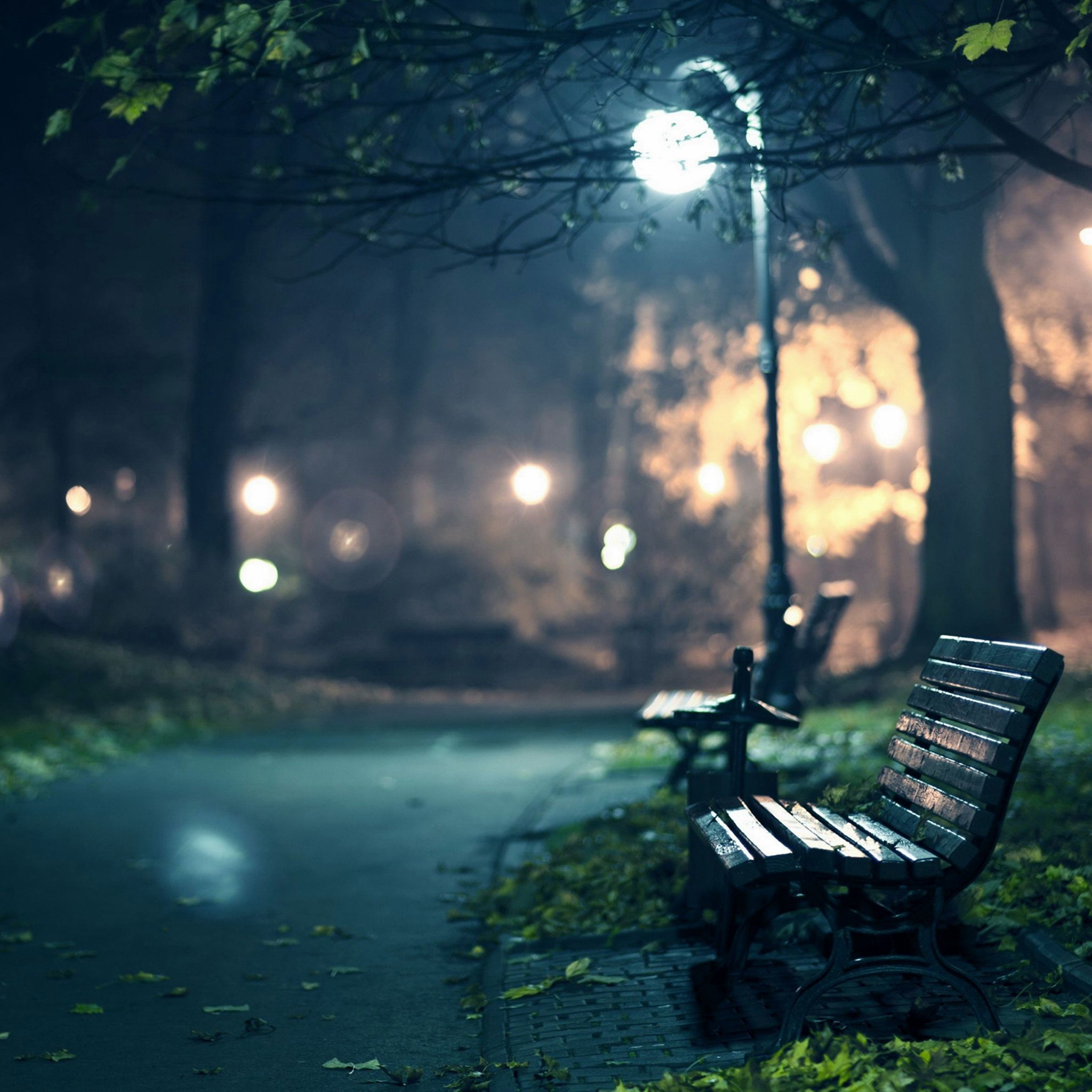 lonely, Beach, In, The, Park, Street, Light Wallpaper