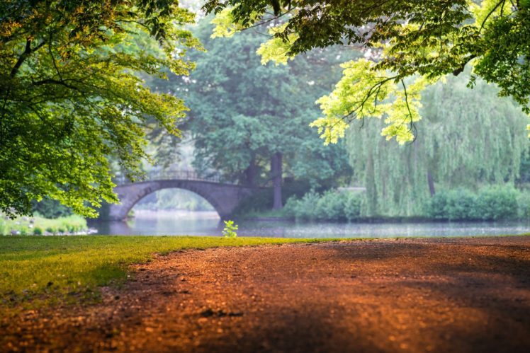 sunlight, Leaves, Bridge, Trees, Plants, Sun, Rays, Lake HD Wallpaper Desktop Background