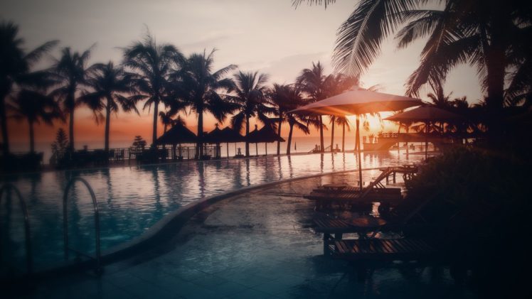 nature, Swimming, Pool, Sunset, Palm, Trees, Sunlight HD Wallpaper Desktop Background