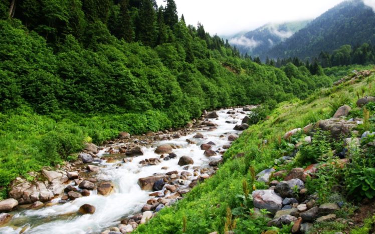 forest, Landscape, Nature, River, Turkey HD Wallpaper Desktop Background