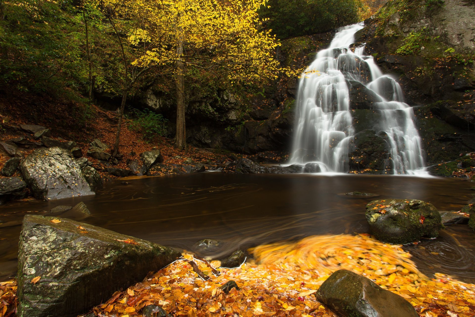 spruce, Flats, Falls, Great, Smoky, Mountains, National, Park, Tennessee, Tennessee, Waterfall, Stage, River, Stones, Leaves, Autumn Wallpaper