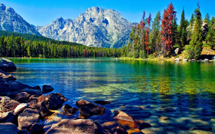 lago, Naturaleza, Bosque, Montay HD Wallpaper Desktop Background