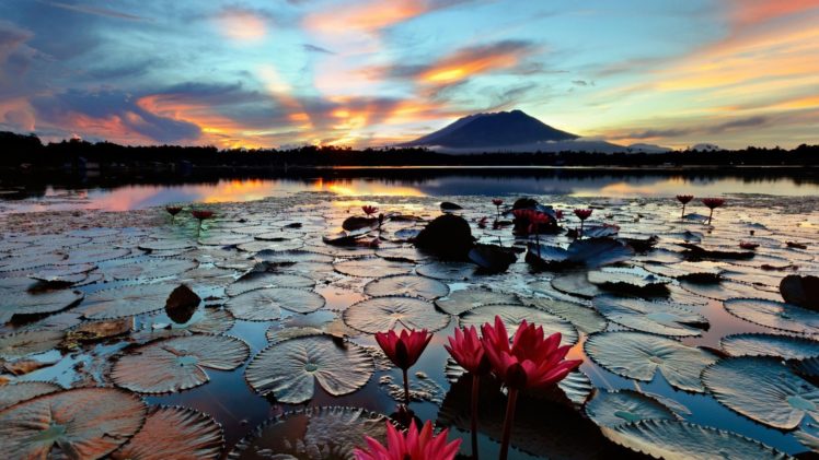 nature, Landscape, Water, Lake, Hills, Trees, Philippines, Flowers HD Wallpaper Desktop Background