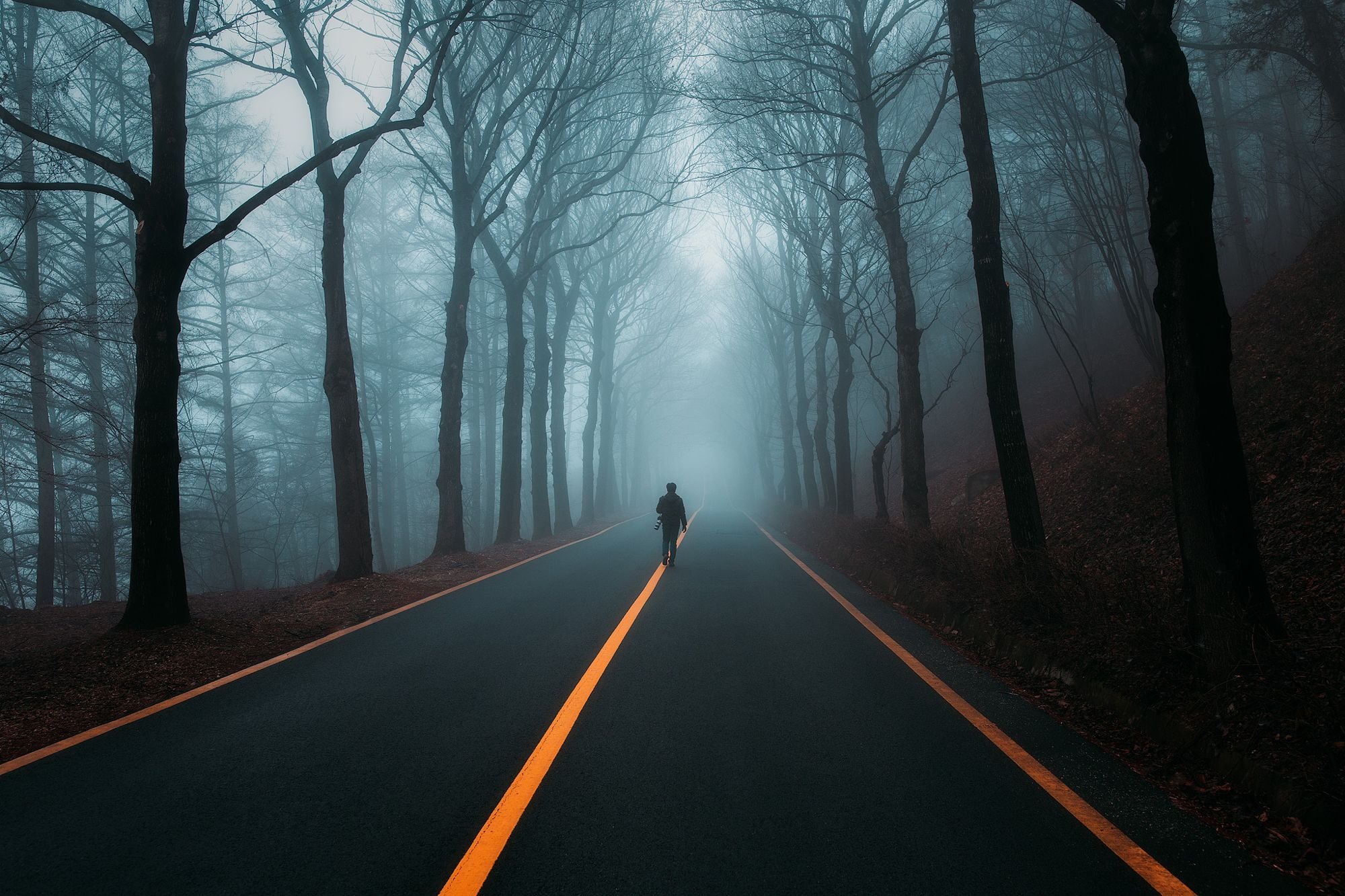 people, Road, Fog, Nature, Forest Wallpaper