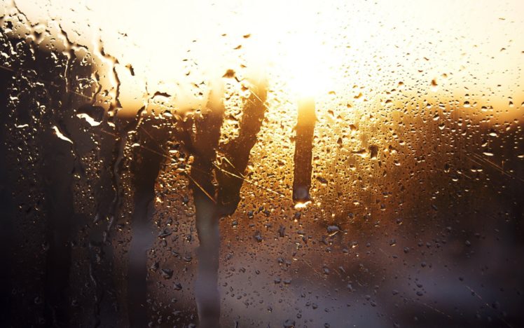 rain, Water, On, Glass, Sunlight HD Wallpaper Desktop Background